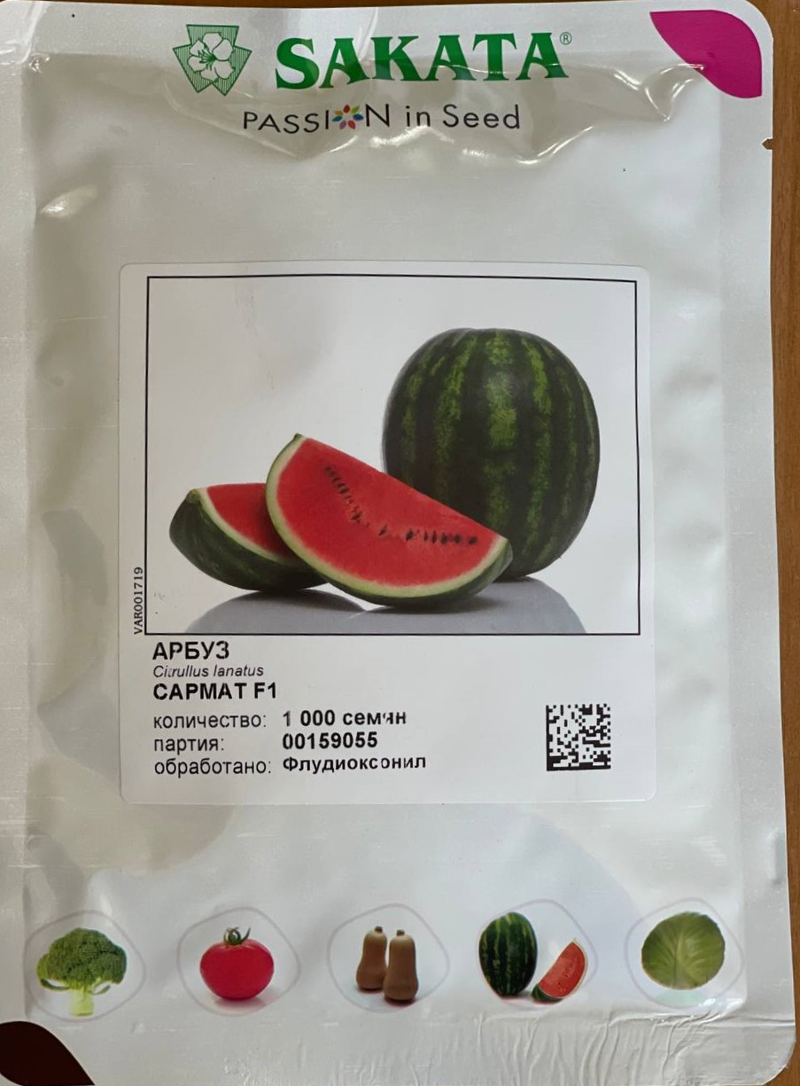 Арбуз Сармат